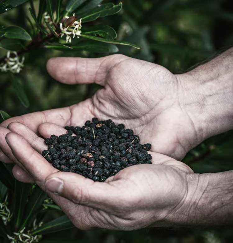 Hand Pepper